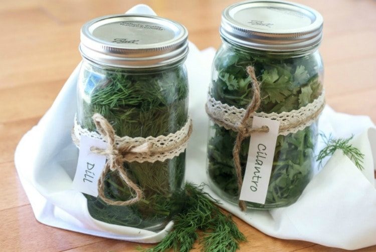 How to Harvest, Dry, and Store Fresh Herbs