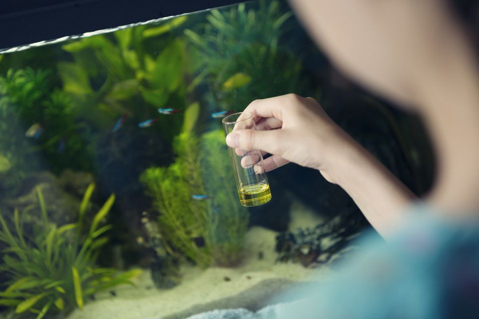 Is Recycled Water from My Saltwater Aquarium Safe for My Plants?