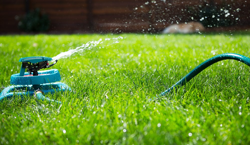 Save Money By Changing Your Lawn Watering Schedule